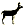 jelenie sika: byki, łanie i cielęta
