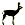 sarny: kozy i koźlęta